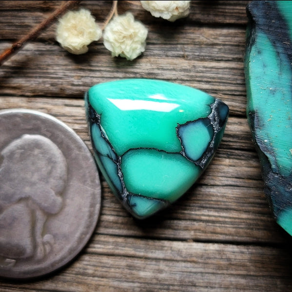 Desert Oasis Variscite Trillion Cabochon