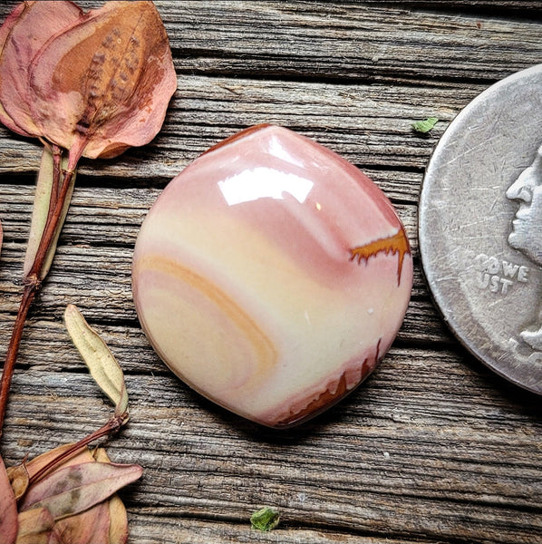 Red Falcon Jasper Marquise Cabochon