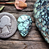 Angel Wing Variscite Teardrop Cabochon