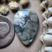 Luna Lacuna Teardrop Cabochon
