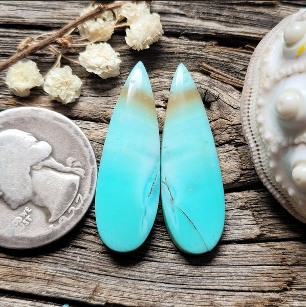 Opalized Wood Drop Earring Pair Cabochon