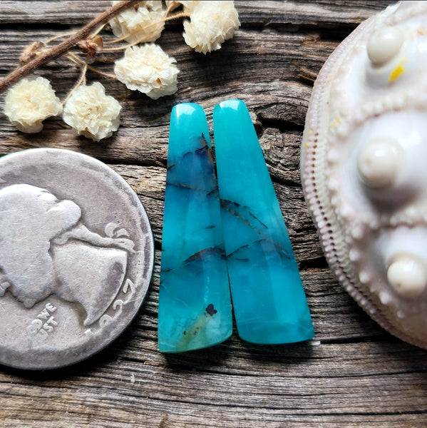 Blue Opalized Wood Tapered Earring Pair Cabochon