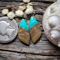 Opalized Wood Freeform Earring Pair Cabochon