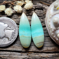 Opalized Wood Drop Earring Pair Cabochon