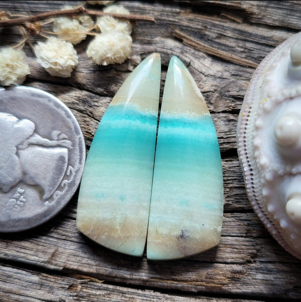 Opalized Wood Freeform Earring Pair Cabochon