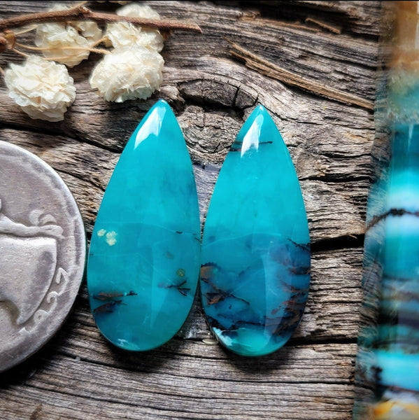 Blue Opalized Wood Drop Pair Cabochon