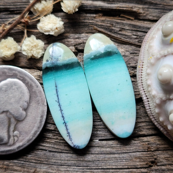 Opalized Wood Oval Pair Cabochon