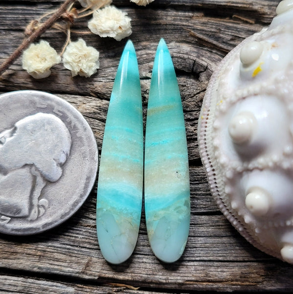 Opalized Wood Talon Earring Pair Cabochon