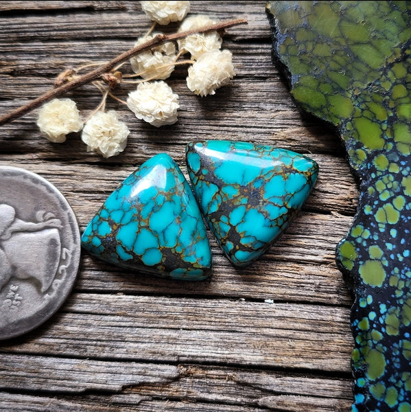 Qingu Turquoise Trillion Pair Cabochon