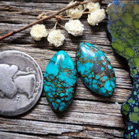 Qingu Turquoise Marquise Pair Cabochon