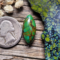 Qingu Turquoise Round Cabochon