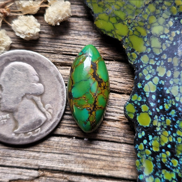 Qingu Turquoise Round Cabochon