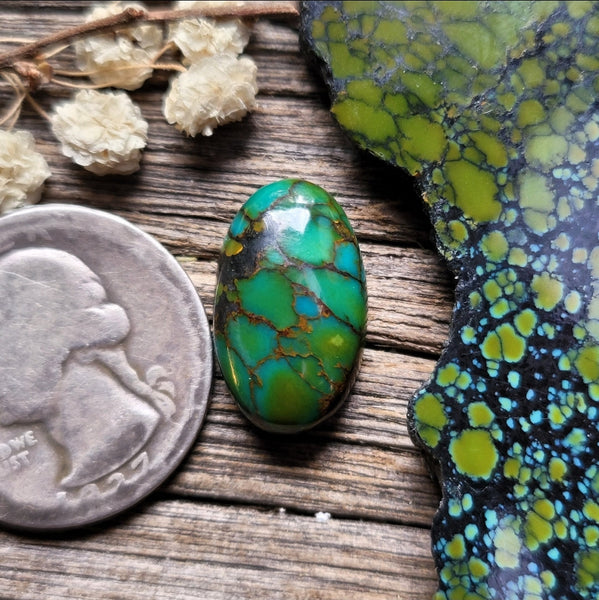Qingu Turquoise Oval Cabochon