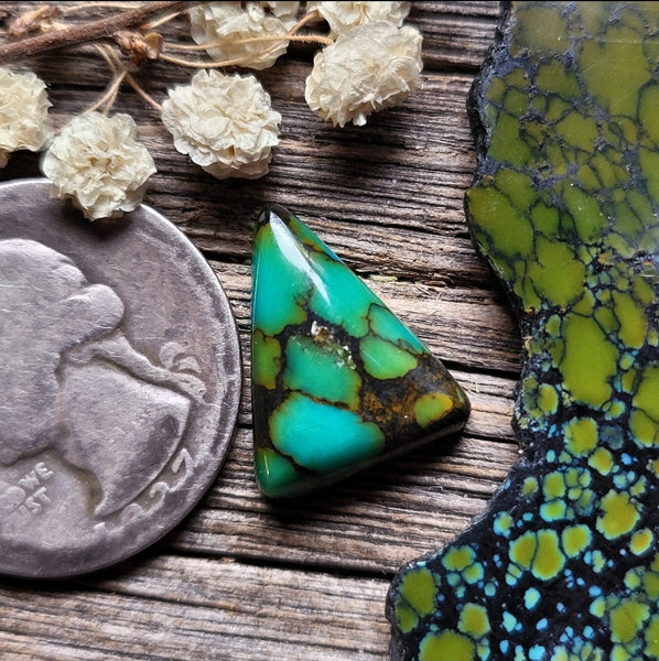 Qingu Turquoise Triangle Cabochon