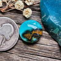 Bacan Gem Silica w/ Tenorite & Cuprite Round Cabochon