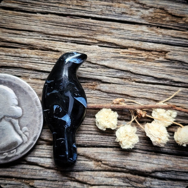 Palm Root Magpie Cabochon