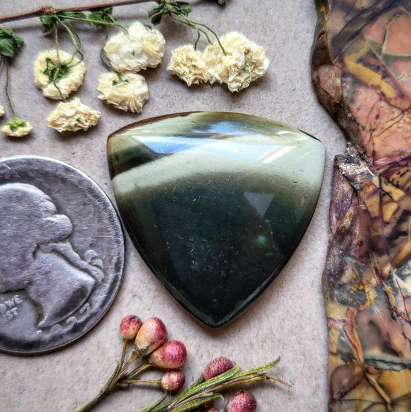 Polychrome Jasper Trillion Cabochon