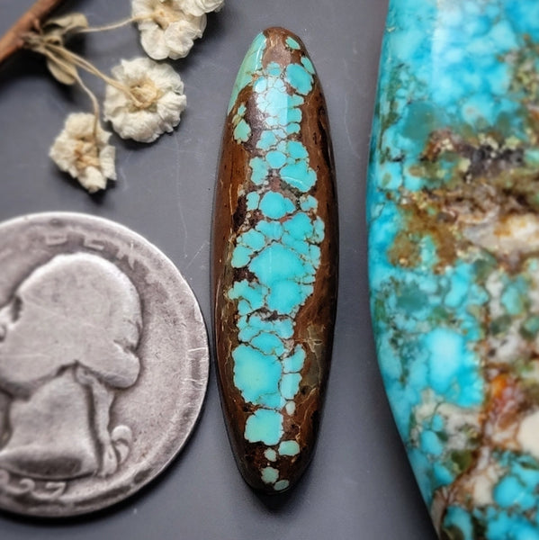 #8 Turquoise Skinny Oval Cabochon