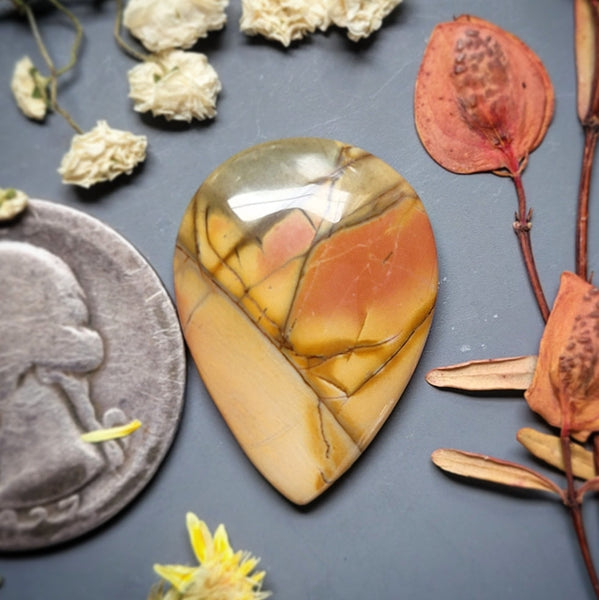 Cherry Creek Jasper Drop Cabochon
