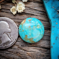 Patagonia Turquoise Round Cabochon