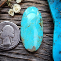Patagonia Turquoise Large Oval Cabochon
