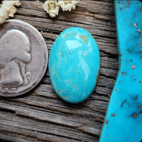 Patagonia Turquoise Oval Cabochon