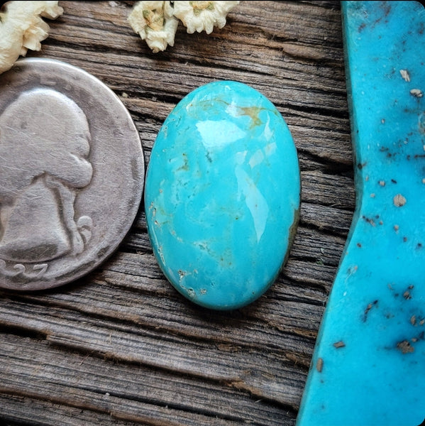 Patagonia Turquoise Oval Cabochon