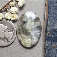 Picasso Stone Long Oval Cabochon