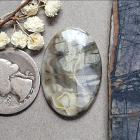 Picasso Stone Long Oval Cabochon