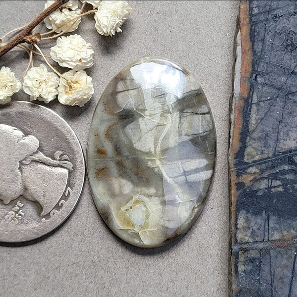Picasso Stone Long Oval Cabochon