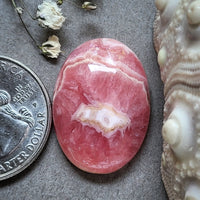 Rhodochrosite Oval Cabochon
