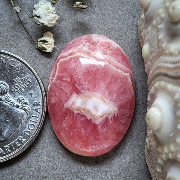 Rhodochrosite Oval Cabochon