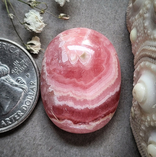Rhodochrosite Chunky Banded Oval Cabochon