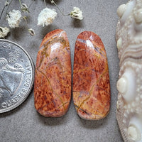 Cherry Creek Large Freeform Cabochon