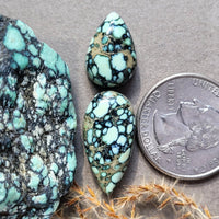 Angel Wing Variscite Teardrop Set Cabochon