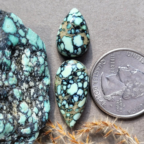 Angel Wing Variscite Teardrop Set Cabochon