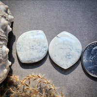 Ivory Creek Variscite Sexy Shape Pair Cabochon