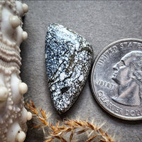 Ivory Creek Variscite Freeform Cabochon