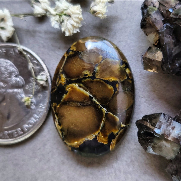 Dark Moon Oval Cabochon