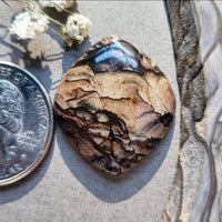 Deschutes Jasper Chunky Marquise Cabochon