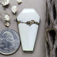Ivory Creek Coffin Cabochon