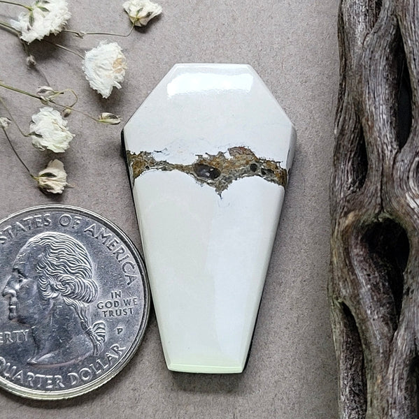 Ivory Creek Coffin Cabochon