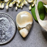 Ivory Creek Teardrop Cabochon
