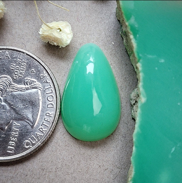 Marlborough Chrysoprase Freeform Cabochon
