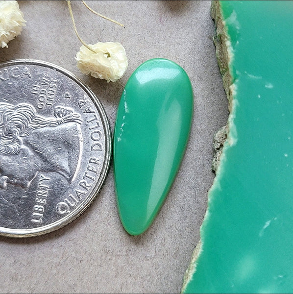 Marlborough Chrysoprase Teardrop Cabochon