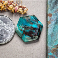 Collawood Faceted Hexagon Cabochon