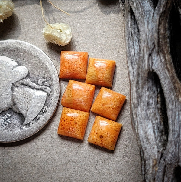 Sponge Coral Square Set Cabochon