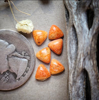 Sponge Coral Trillion Set Cabochon