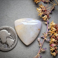 Sunset Jasper Trillion Cabochon