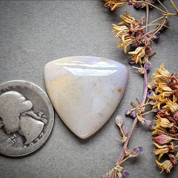 Sunset Jasper Trillion Cabochon